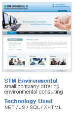  STM Environmental